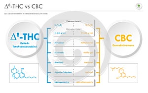 Ã¢Ëâ 8-THC vs CBC, Delta 8 Tetrahydrocannabinol vs Cannabichromene horizontal business infographic